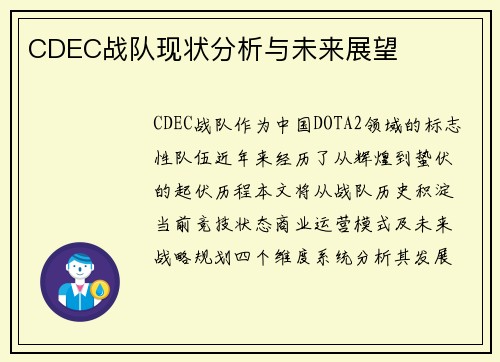 CDEC战队现状分析与未来展望